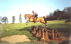 horse being ridden over a cross country jump