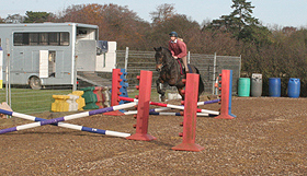 horse jumping a small grid