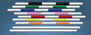 colorful jump poles made of wood or PVC