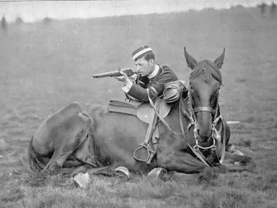 Лошади тоже воевали: 8 фактов о лошадях на поле боя