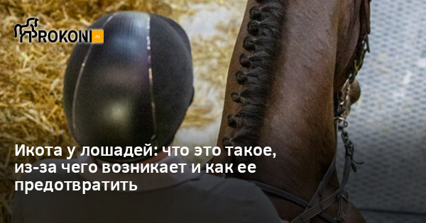Статьи, Икота у лошадей: что это такое, из-за чего возникает и как ее ...