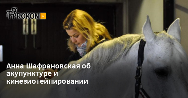 www.prokoni.ru