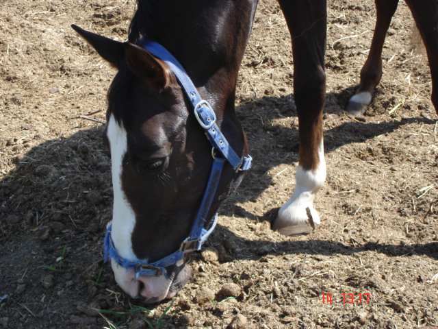 izobrazhenie-005-jpg.251944