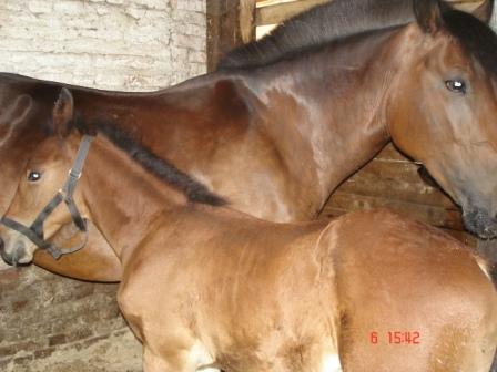 izobrazhenie-04d-jpg.251951