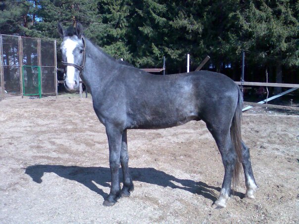 maj-2008-goda-jpg.17384