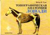 Гуди-Топографическая анатомия лошади.jpg