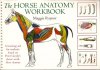 Maggie Raynor - The horse anatomy workbook.jpg