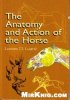 1369027843_the-anatomy-and-action-of-the-horse.jpg