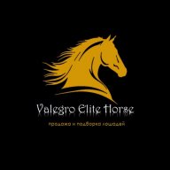 Valegro_Elite_Horse