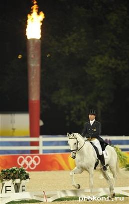 horse2.jpg