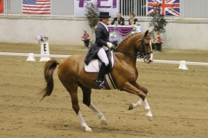 extended canter