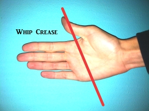 whip hand
