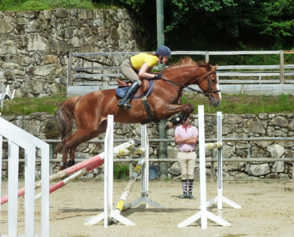 lost stirrup