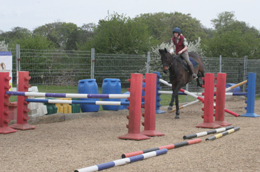 jumping a horse through a double