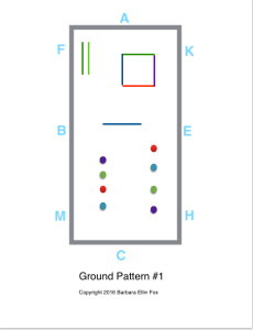 fear in beginners Ground Pattern #1