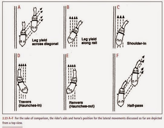 Lateral Work Diagram