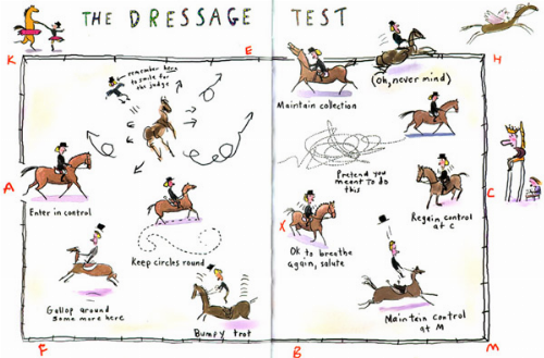 Dressage Riding Arena Cartoon