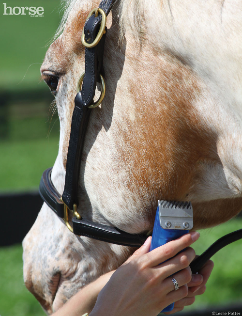 Clipping the Jawline