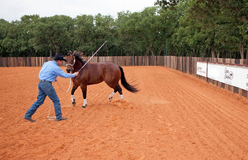 Clinton Anderson Sending Exercise