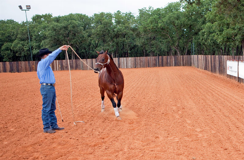 Clinton Anderson Sending Exercise