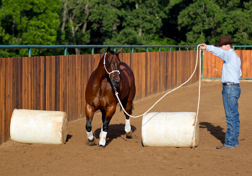 Clinton Jumping