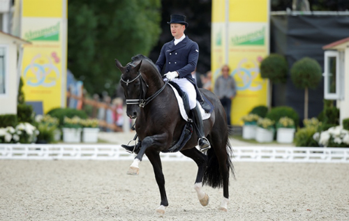 ÐÐ°ÑÑÐ¸Ð½ÐºÐ¸ Ð¿Ð¾ Ð·Ð°Ð¿ÑÐ¾ÑÑ Totilas at the 2015 European Championships in Aachen