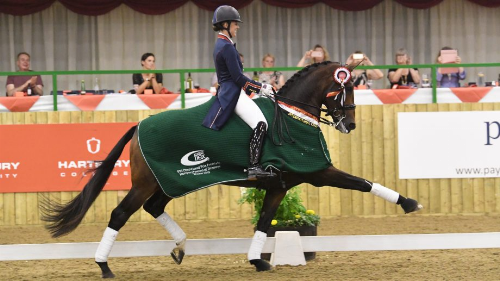 ÐÐ°ÑÑÐ¸Ð½ÐºÐ¸ Ð¿Ð¾ Ð·Ð°Ð¿ÑÐ¾ÑÑ charlotte dujardin