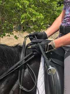 всадник держит кнут, чтобы исправить положение руки на лошади