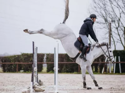 Как сохранить равновесие на лошади с мощным прыжком