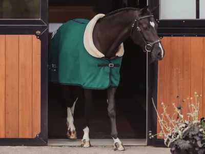 Гайд по попонам: когда и какую?