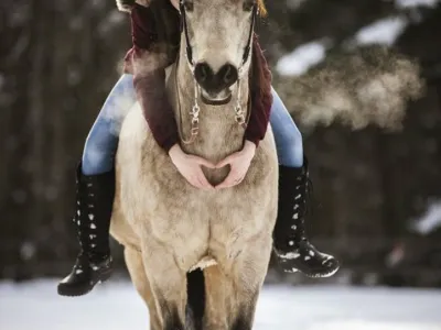 Зима на пороге: как подготовиться коннику?