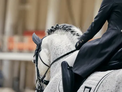 Новый формат Кубка России не оправдал себя?