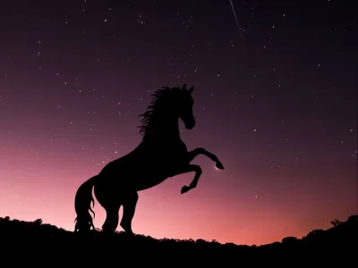 Предсказания на 2026: что ждет конников в Новом году