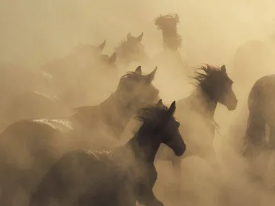 Что каждому коннику стоит оставить в прошлом, вступая в 2026