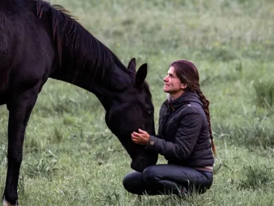 HorseVoice: проект, дающий право голоса лошадям