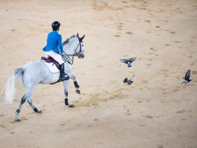 Менеджмент маршрута: как получить заветный «ноль»?