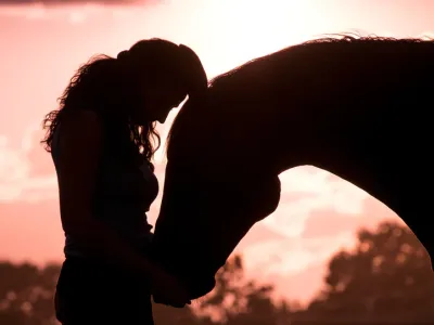 Любовь без слов: как лошади выбирают «своего» человека