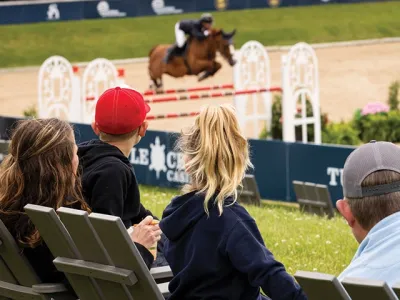 Социальная фасилитация: как извлечь пользу в конном спорте?