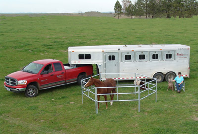 Картинки по запросу portable panels corral