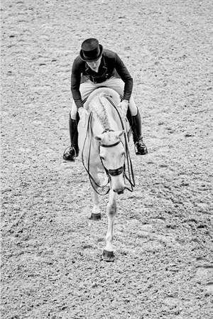 Joao Victor Macari Oliva (BRA) at the World Cup Final - Photo Liz Gregg/FEI