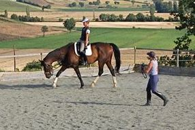 posture work on lunge