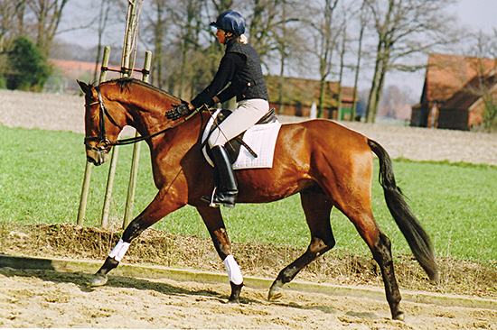 No22b