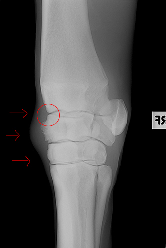 Figure 3 copy