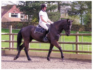 Rich riding fresh school