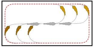 riding centre circles