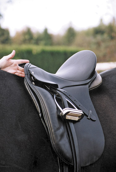 In addition to two to three fingers clearance on the top of the withers, a saddle must allow enough clearance on the sides of the withers to accommodate the shoulder rotation and allow full and free range of motion.