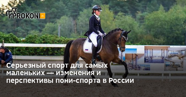 www.prokoni.ru