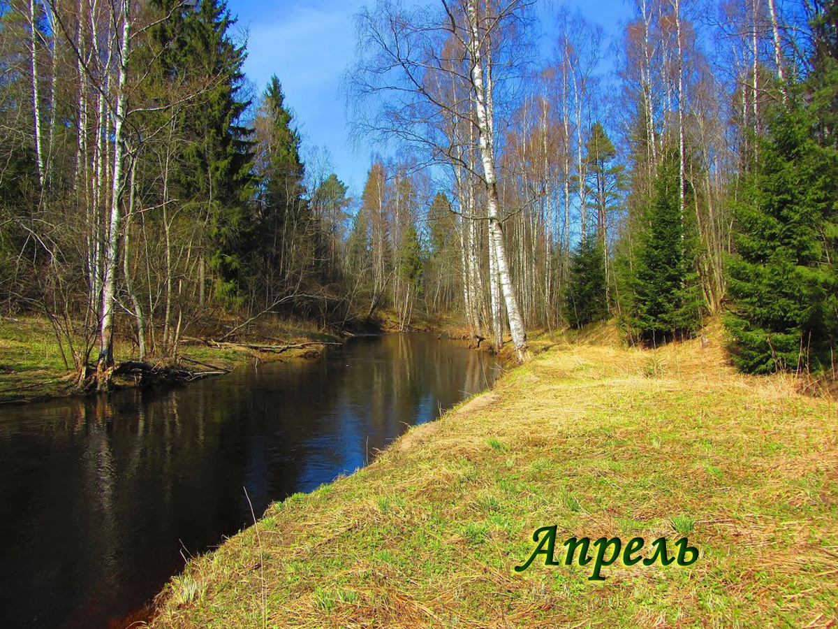 004 Апрель.jpg