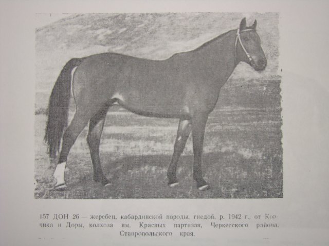 006eb2b021f3-jpg.197312