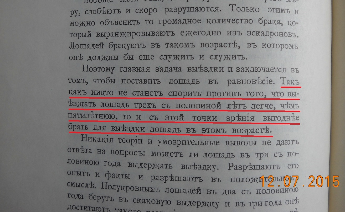 020.JPG